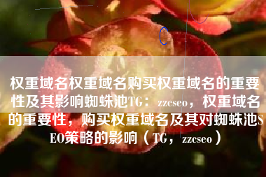 权重域名权重域名购买权重域名的重要性及其影响蜘蛛池TG：zzcseo，权重域名的重要性，购买权重域名及其对蜘蛛池SEO策略的影响（TG，zzcseo）