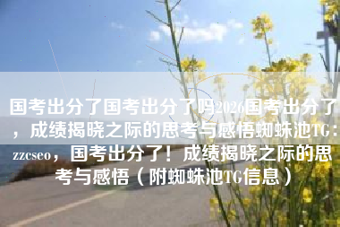国考出分了国考出分了吗2026国考出分了，成绩揭晓之际的思考与感悟蜘蛛池TG：zzcseo，国考出分了！成绩揭晓之际的思考与感悟（附蜘蛛池TG信息）