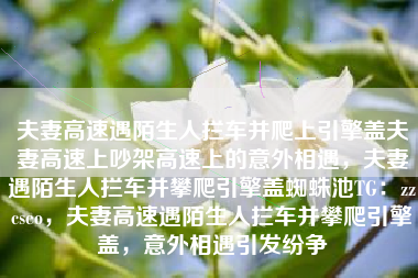 夫妻高速遇陌生人拦车并爬上引擎盖夫妻高速上吵架高速上的意外相遇，夫妻遇陌生人拦车并攀爬引擎盖蜘蛛池TG：zzcseo，夫妻高速遇陌生人拦车并攀爬引擎盖，意外相遇引发纷争