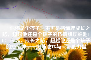 “他还是个孩子”不再是挡箭牌成长之路，超越他还是个孩子的挡箭牌蜘蛛池TG：zzcseo，成长之路，超越他还是个孩子的挡箭牌——蜘蛛池TG与zzcseo的力量