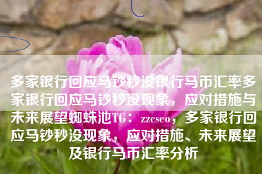 多家银行回应马钞秒没银行马币汇率多家银行回应马钞秒没现象，应对措施与未来展望蜘蛛池TG：zzcseo，多家银行回应马钞秒没现象，应对措施、未来展望及银行马币汇率分析