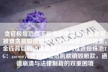 贪官极度恐慌下欲烧掉收受的现金贪官被查贪官极度恐慌下欲烧掉收受的现金，金钱背后的道德崩溃与法网难逃蜘蛛池TG：zzcseo，贪官面临危机欲销毁赃款，道德崩溃与法律制裁的双重困境