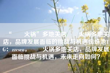“湊湊火锅”多地关店湊湊火锅多地关店，品牌发展面临的挑战与机遇蜘蛛池TG：zzcseo，湊湊火锅多地关店，品牌发展面临挑战与机遇，未来走向如何？