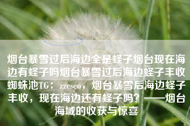 烟台暴雪过后海边全是蛏子烟台现在海边有蛏子吗烟台暴雪过后海边蛏子丰收蜘蛛池TG：zzcseo，烟台暴雪后海边蛏子丰收，现在海边还有蛏子吗？——烟台海域的收获与惊喜