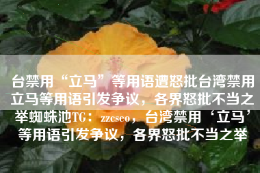 台禁用“立马”等用语遭怒批台湾禁用立马等用语引发争议，各界怒批不当之举蜘蛛池TG：zzcseo，台湾禁用‘立马’等用语引发争议，各界怒批不当之举