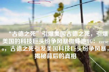 “古德之死”引爆美国古德之死，引爆美国的科技巨头纷争风暴蜘蛛池TG：zzcseo，古德之死引发美国科技巨头纷争风暴，揭秘背后的真相