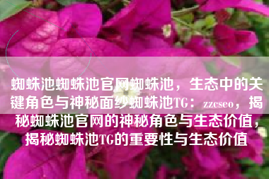 蜘蛛池蜘蛛池官网蜘蛛池，生态中的关键角色与神秘面纱蜘蛛池TG：zzcseo，揭秘蜘蛛池官网的神秘角色与生态价值，揭秘蜘蛛池TG的重要性与生态价值