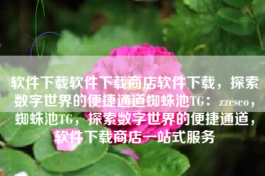软件下载软件下载商店软件下载，探索数字世界的便捷通道蜘蛛池TG：zzcseo，蜘蛛池TG，探索数字世界的便捷通道，软件下载商店一站式服务