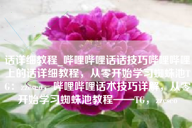 话详细教程_哔哩哔哩话话技巧哔哩哔哩上的话详细教程，从零开始学习蜘蛛池TG：zzcseo，哔哩哔哩话术技巧详解，从零开始学习蜘蛛池教程——TG，zzcseo