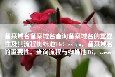 备案域名备案域名查询备案域名的重要性及其流程蜘蛛池TG：zzcseo，备案域名的重要性、查询流程与蜘蛛池TG，zzcseo