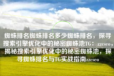 蜘蛛排名蜘蛛排名多少蜘蛛排名，探寻搜索引擎优化中的秘密蜘蛛池TG：zzcseo，揭秘搜索引擎优化中的秘密蜘蛛池，探寻蜘蛛排名与TG实战指南zzcseo