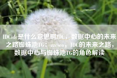 IDCidc是什么意思啊IDC，数据中心的未来之路蜘蛛池TG：zzcseo，IDC的未来之路，数据中心与蜘蛛池TG的角色解读