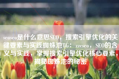 seoseo是什么意思SEO，搜索引擎优化的关键要素与实践蜘蛛池TG：zzcseo，SEO的含义与实践，掌握搜索引擎优化核心要素，揭秘蜘蛛池的秘密
