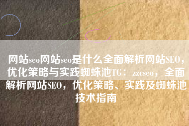 网站seo网站seo是什么全面解析网站SEO，优化策略与实践蜘蛛池TG：zzcseo，全面解析网站SEO，优化策略、实践及蜘蛛池技术指南