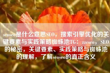seoseo是什么意思SEO，搜索引擎优化的关键要素与实践策略蜘蛛池TG：zzcseo，SEO的秘密，关键要素、实践策略与蜘蛛池的理解，了解seoseo的真正含义