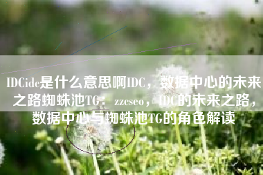 IDCidc是什么意思啊IDC，数据中心的未来之路蜘蛛池TG：zzcseo，IDC的未来之路，数据中心与蜘蛛池TG的角色解读