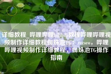 详细教程_哔哩哔哩bilibili教程哔哩哔哩视频制作详细教程蜘蛛池TG：zzcseo，哔哩哔哩视频制作详细教程，蜘蛛池TG操作指南