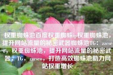 权重蜘蛛池百度权重蜘蛛ip权重蜘蛛池，提升网站流量的秘密武器蜘蛛池TG：zzcseo，权重蜘蛛池，提升网站流量的秘密武器，TG，zzcseo，打造高效蜘蛛池助力网站权重增长