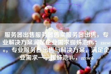 服务器出售服务器售卖服务器出售，专业解决方案满足企业需求蜘蛛池TG：zzcseo，专业服务器出售与解决方案，满足企业需求——蜘蛛池TG，zzcseo