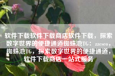 软件下载软件下载商店软件下载，探索数字世界的便捷通道蜘蛛池TG：zzcseo，蜘蛛池TG，探索数字世界的便捷通道，软件下载商店一站式服务