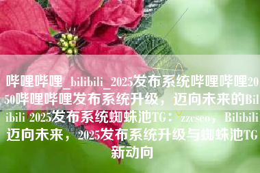 哔哩哔哩_bilibili_2025发布系统哔哩哔哩2050哔哩哔哩发布系统升级，迈向未来的Bilibili 2025发布系统蜘蛛池TG：zzcseo，Bilibili迈向未来，2025发布系统升级与蜘蛛池TG新动向