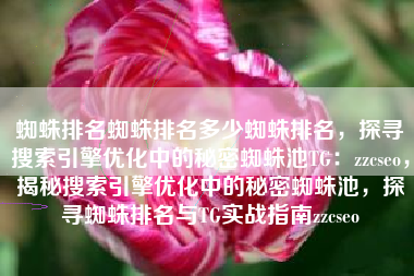 蜘蛛排名蜘蛛排名多少蜘蛛排名，探寻搜索引擎优化中的秘密蜘蛛池TG：zzcseo，揭秘搜索引擎优化中的秘密蜘蛛池，探寻蜘蛛排名与TG实战指南zzcseo