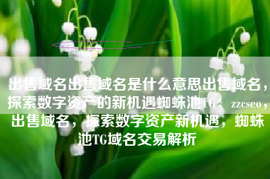 出售域名出售域名是什么意思出售域名，探索数字资产的新机遇蜘蛛池TG：zzcseo，出售域名，探索数字资产新机遇，蜘蛛池TG域名交易解析