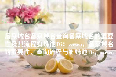 备案域名备案域名查询备案域名的重要性及其流程蜘蛛池TG：zzcseo，备案域名的重要性、查询流程与蜘蛛池TG，zzcseo