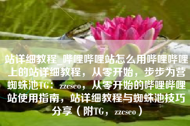 站详细教程_哔哩哔哩站怎么用哔哩哔哩上的站详细教程，从零开始，步步为营蜘蛛池TG：zzcseo，从零开始的哔哩哔哩站使用指南，站详细教程与蜘蛛池技巧分享（附TG，zzcseo）
