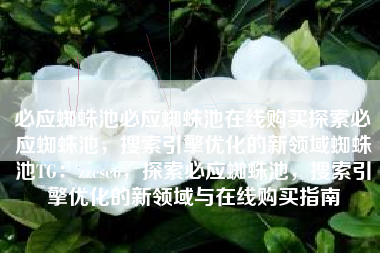 必应蜘蛛池必应蜘蛛池在线购买探索必应蜘蛛池，搜索引擎优化的新领域蜘蛛池TG：zzcseo，探索必应蜘蛛池，搜索引擎优化的新领域与在线购买指南