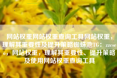 网站权重网站权重查询工具网站权重，理解其重要性及提升策略蜘蛛池TG：zzcseo，网站权重，理解其重要性、提升策略及使用网站权重查询工具