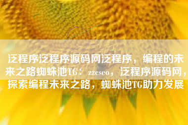 泛程序泛程序源码网泛程序，编程的未来之路蜘蛛池TG：zzcseo，泛程序源码网，探索编程未来之路，蜘蛛池TG助力发展
