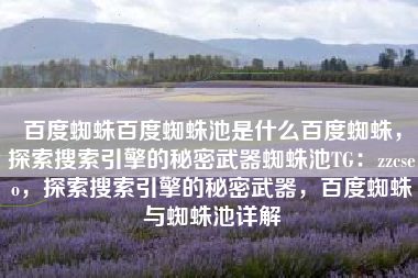 百度蜘蛛百度蜘蛛池是什么百度蜘蛛，探索搜索引擎的秘密武器蜘蛛池TG：zzcseo，探索搜索引擎的秘密武器，百度蜘蛛与蜘蛛池详解