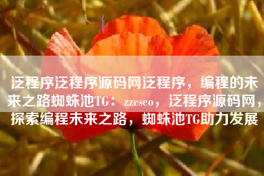泛程序泛程序源码网泛程序，编程的未来之路蜘蛛池TG：zzcseo，泛程序源码网，探索编程未来之路，蜘蛛池TG助力发展