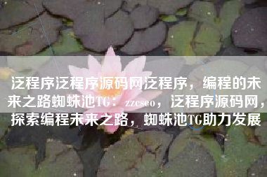 泛程序泛程序源码网泛程序，编程的未来之路蜘蛛池TG：zzcseo，泛程序源码网，探索编程未来之路，蜘蛛池TG助力发展
