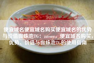 便宜域名便宜域名购买便宜域名的优势与价值蜘蛛池TG：zzcseo，便宜域名购买，优势、价值与蜘蛛池TG的使用指南