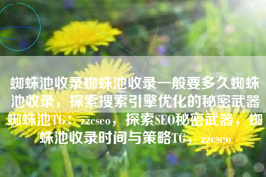 蜘蛛池收录蜘蛛池收录一般要多久蜘蛛池收录，探索搜索引擎优化的秘密武器蜘蛛池TG：zzcseo，探索SEO秘密武器，蜘蛛池收录时间与策略TG，zzcseo