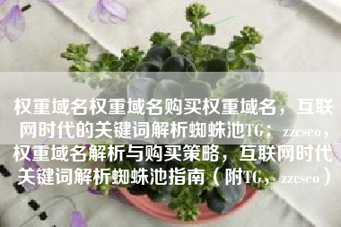 权重域名权重域名购买权重域名，互联网时代的关键词解析蜘蛛池TG：zzcseo，权重域名解析与购买策略，互联网时代关键词解析蜘蛛池指南（附TG，zzcseo）