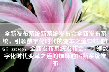 全新发布系统新系统发布会全新发布系统，引领数字化时代的变革之道蜘蛛池TG：zzcseo，全新发布系统发布会，引领数字化时代变革之道的蜘蛛池TG新系统发布