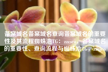 备案域名备案域名查询备案域名的重要性及其流程蜘蛛池TG：zzcseo，备案域名的重要性、查询流程与蜘蛛池TG，zzcseo