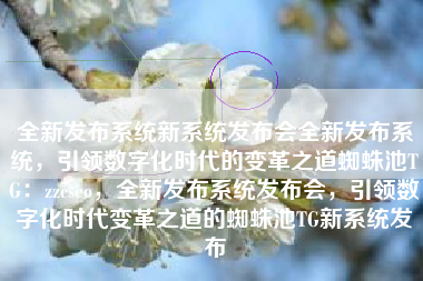 全新发布系统新系统发布会全新发布系统，引领数字化时代的变革之道蜘蛛池TG：zzcseo，全新发布系统发布会，引领数字化时代变革之道的蜘蛛池TG新系统发布
