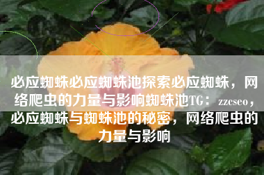 必应蜘蛛必应蜘蛛池探索必应蜘蛛，网络爬虫的力量与影响蜘蛛池TG：zzcseo，必应蜘蛛与蜘蛛池的秘密，网络爬虫的力量与影响