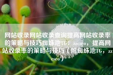 网站收录网站收录查询提高网站收录率的策略与技巧蜘蛛池TG：zzcseo，提高网站收录率的策略与技巧（附蜘蛛池TG，zzcseo）