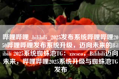 哔哩哔哩_bilibili_2025发布系统哔哩哔哩2050哔哩哔哩发布系统升级，迈向未来的Bilibili 2025系统蜘蛛池TG：zzcseo，Bilibili迈向未来，哔哩哔哩2025系统升级与蜘蛛池TG发布