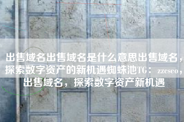 出售域名出售域名是什么意思出售域名，探索数字资产的新机遇蜘蛛池TG：zzcseo，出售域名，探索数字资产新机遇