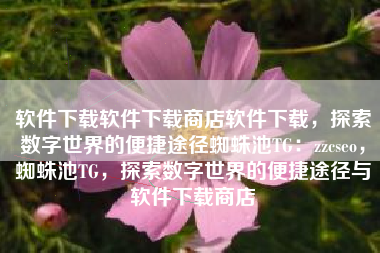 软件下载软件下载商店软件下载，探索数字世界的便捷途径蜘蛛池TG：zzcseo，蜘蛛池TG，探索数字世界的便捷途径与软件下载商店