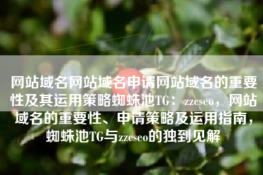 网站域名网站域名申请网站域名的重要性及其运用策略蜘蛛池TG：zzcseo，网站域名的重要性、申请策略及运用指南，蜘蛛池TG与zzcseo的独到见解