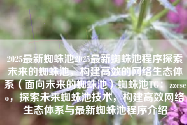 2025最新蜘蛛池2025最新蜘蛛池程序探索未来的蜘蛛池，构建高效的网络生态体系（面向未来的蜘蛛池）蜘蛛池TG：zzcseo，探索未来蜘蛛池技术，构建高效网络生态体系与最新蜘蛛池程序介绍