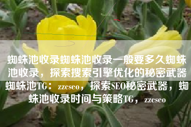 蜘蛛池收录蜘蛛池收录一般要多久蜘蛛池收录，探索搜索引擎优化的秘密武器蜘蛛池TG：zzcseo，探索SEO秘密武器，蜘蛛池收录时间与策略TG，zzcseo
