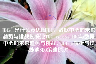 IDCidc是什么意思啊IDC，数据中心的未来趋势与挑战蜘蛛池TG：zzcseo，IDC与数据中心的未来趋势与挑战，IDCidc解析与蜘蛛池SEO策略探讨
